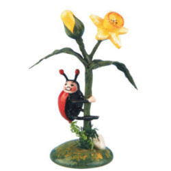 Set of Two- Ladybug Narcissus - 5,5 cm / 2 inch
