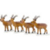 Winter Kids Set of Four Stag - 6 cm / 2,4 inch