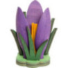 Crocus purple - 5 cm / 2 inch