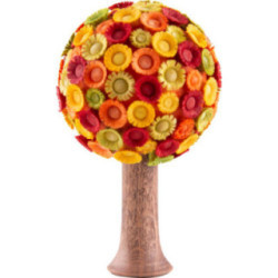 Blütenbaum Herbst - 8 cm