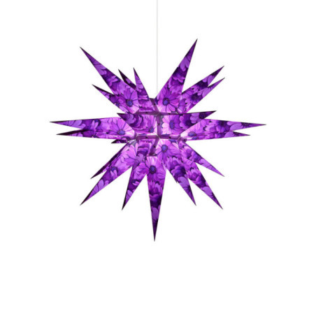 Herrnhuter Moravian Star I6 Paper - Nature Edition - Cape Daisy  - 60 cm / 23.6 inch