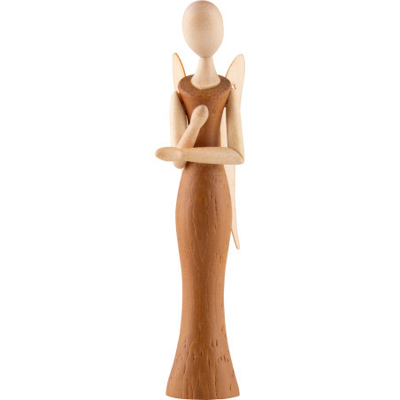 Sternkopf Angel Locust - 8 cm / 3.1 inch