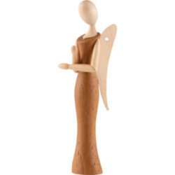 Sternkopf Angel Locust - 8 cm / 3.1 inch