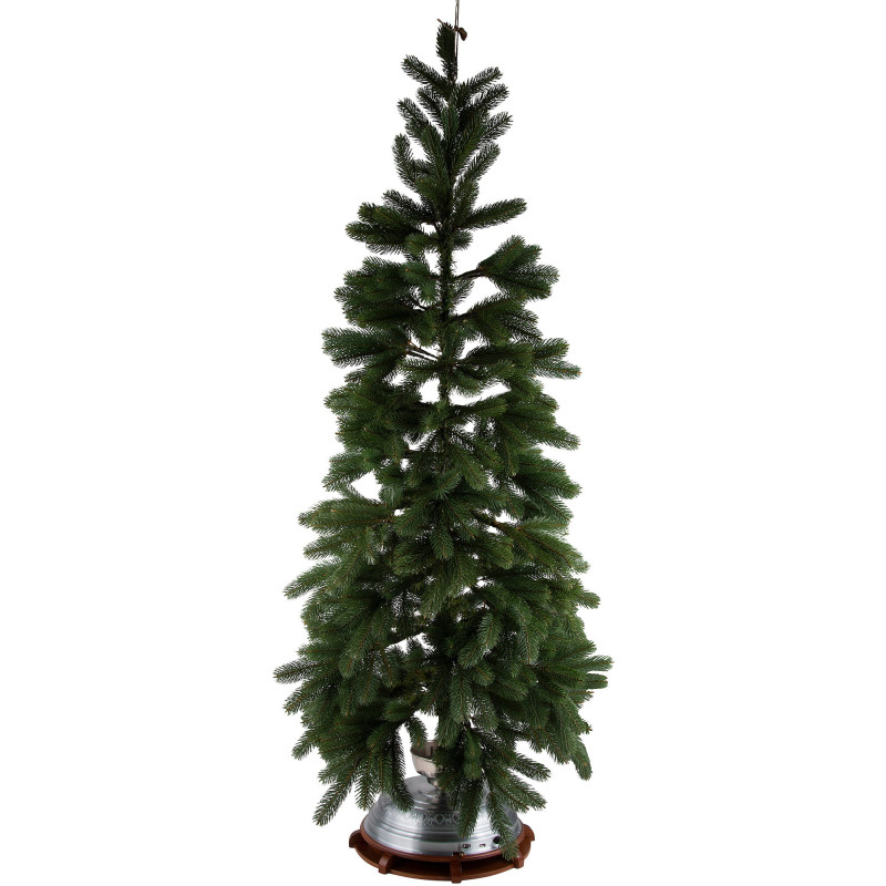 Spielett - Music Box for Christmas Tree Stand or Festive Decoration