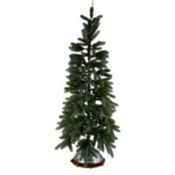Spielett - Music Box for Christmas Tree Stand or Festive Decoration
