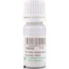 Premium Wood Glue 10 ml