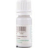 Premium Wood Glue 10 ml