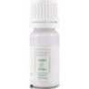 Premium Wood Glue 10 ml