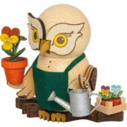 Stiefmütterchen 2er-Set - 3,3 cm