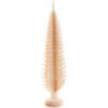 Spanbaum natur - 30 cm